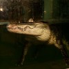 143_C0236_LRR