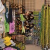 Ottawa Reptile Zoo