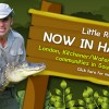 http://raysreptiles.com/about/locations/hamilton/