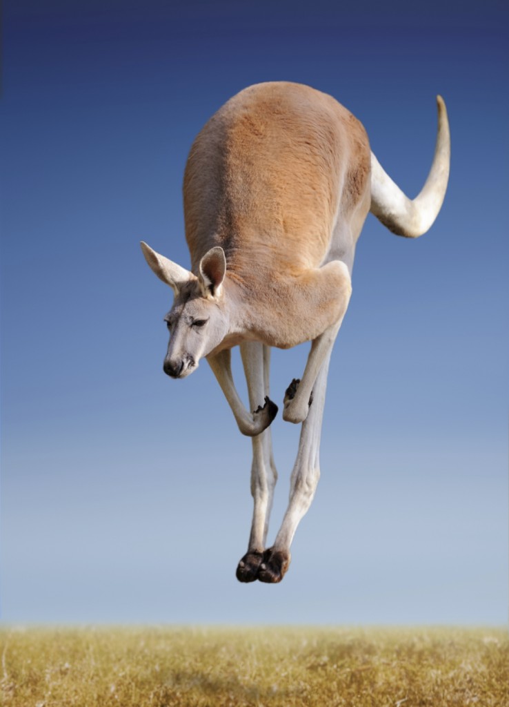 iStock_000022580139_Medium