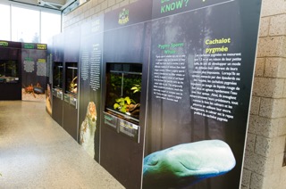 Little Ray's Exhibits - Mar 2014 - 0016