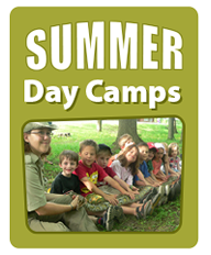 Summer Camps